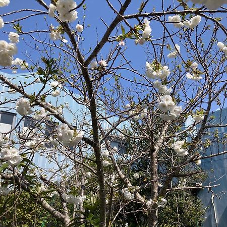 Narita Airport Samurai Hostel Kujukuri Екстериор снимка